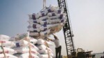 قیمت برنج واردات برنج دولت