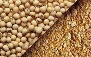۲۳ درصد کنجاله سویای توزیعی توسط دولت با خاک مخلوط بود + اسناد ۲۳ درصد کنجاله سویای توزیعی توسط دولت با خاک مخلوط بود + اسناد