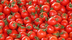 عرضه گوجه در بازار
