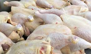 قیمت مرغ از هفته جاری سقوط می‌کند