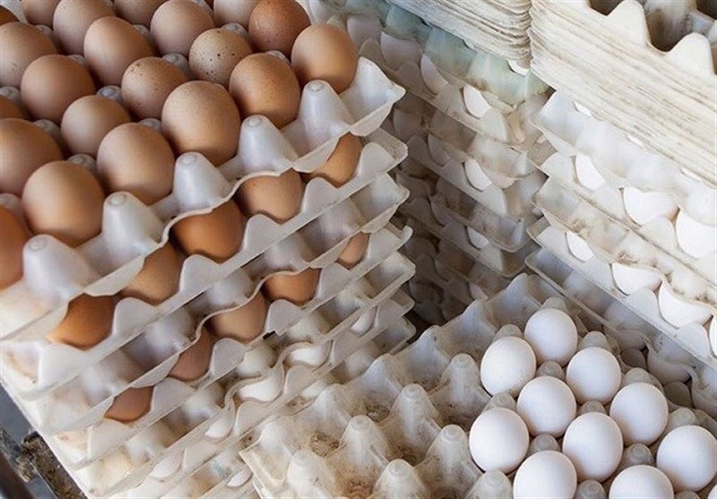 ماجرای عجیب و غریب افزایش قیمت تخم مرغ
