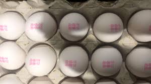 قیمت تخم مرغ