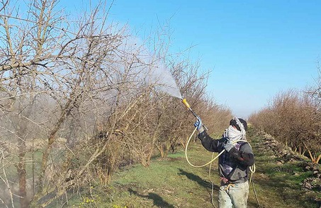 جهاد کشاورزی برای کنترل باقیمانده سموم با مشکل تأمین مالی روبروست