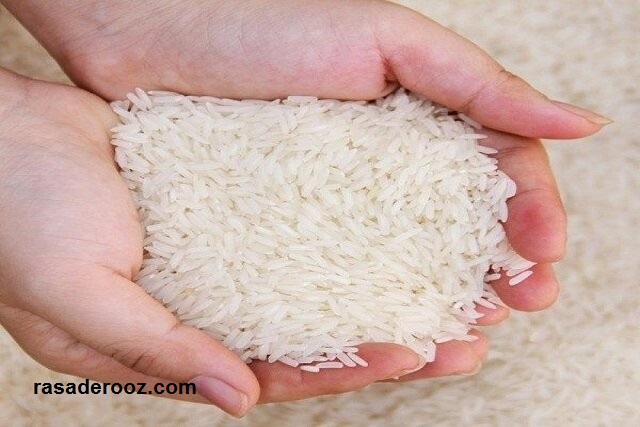 افزایش قیمت برنج ایرانی