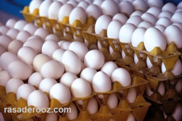 قیمت تخم مرغ