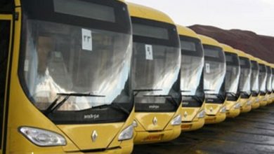 آماده باش ۲۵۰۰ دستگاه اتوبوس برای سفر بازگشت زائران اربعین