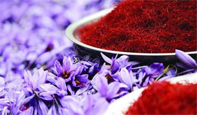 بسته سیاستی حمایت از زعفران