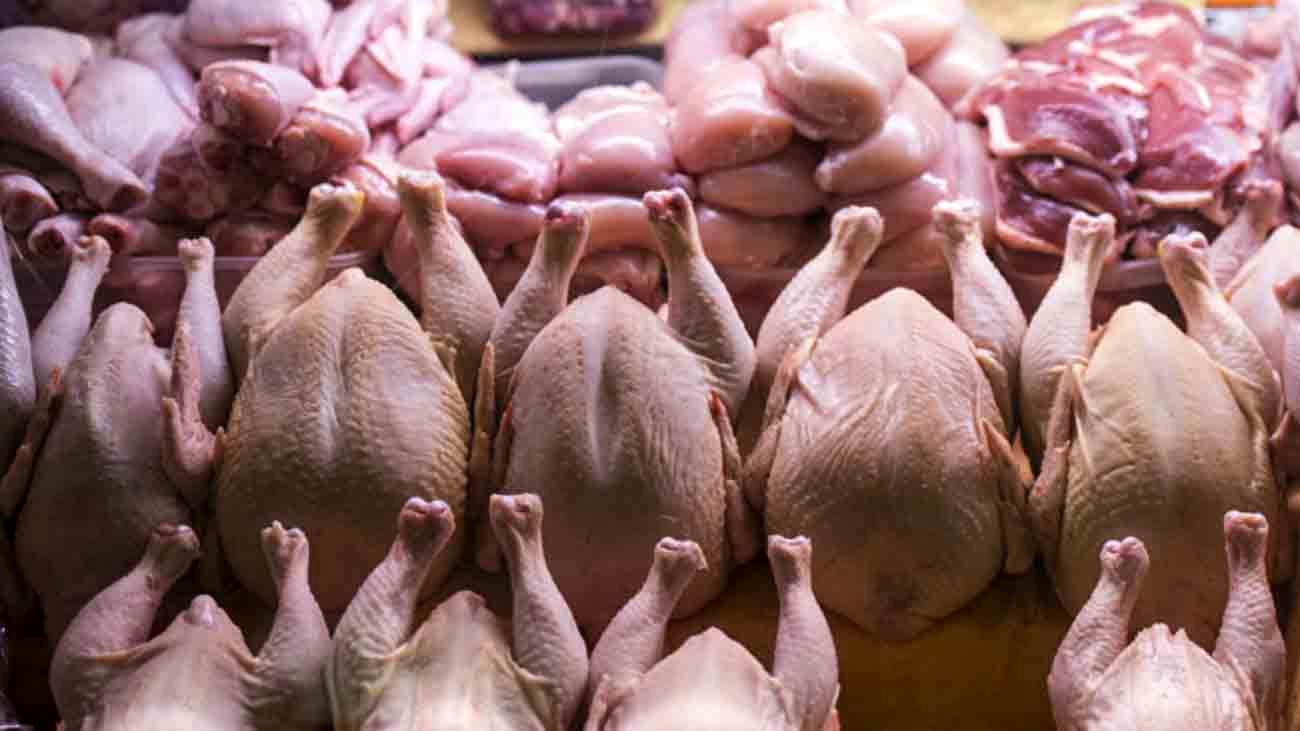 افزایش قیمت مرغ مصوب