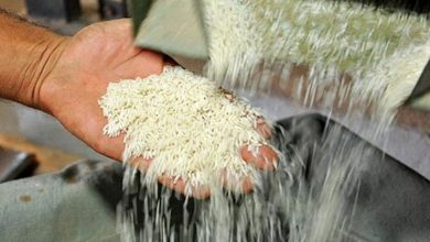 ممنوعیت واردات برنج پابرجاست
