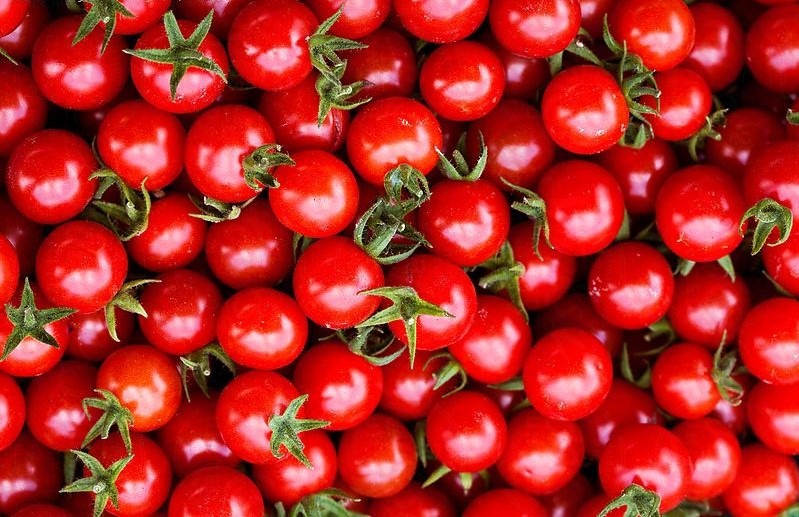 گوجه صادراتی قیمت گوجه صادراتی