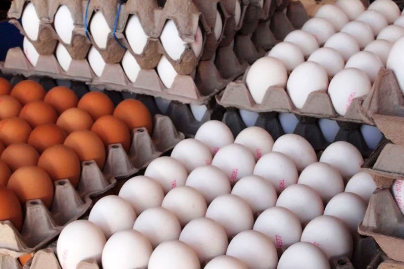 اعلام قیمت تخم مرغ وارداتی با ارز ترجیحی