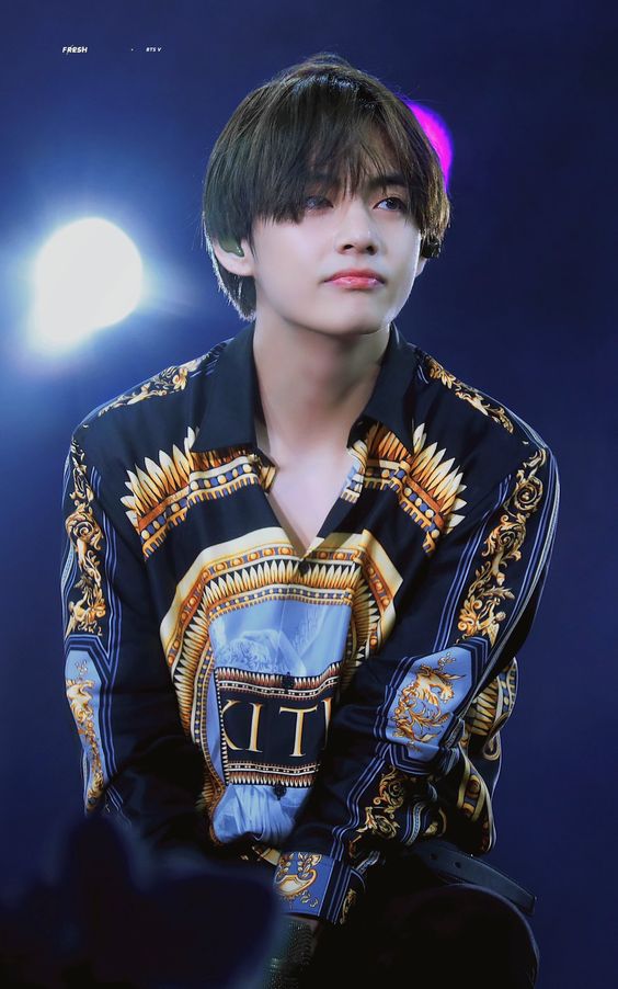 بیوگرافی کیم تهیونگ عضو گروه بی تی اس با جزئیات کامل 36 بیوگرافی کیم تهیونگ عضو گروه بی تی اس با جزئیات کامل 10
