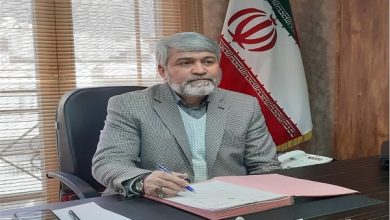 سیدصادق حسینی رئیس سازمان حج و زیارت شد