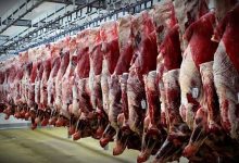 مافیا عامل گرانی قیمت گوشت در بازار