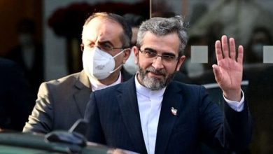 هیات ایرانی وارد کوبورگ شد