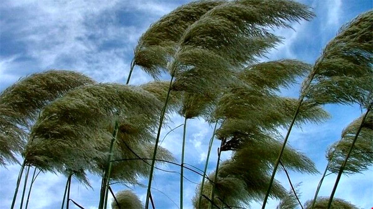 وزش باد شدید در برخی استانها