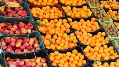 درخواست اصناف از دولت برای اعلام قیمت میوه شب عید