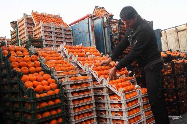 قیمت میوه‌های تنظیم بازاری شب عید اعلام شد پرتقال ۹۰۰۰ و سیب قرمز۱۱۰۰۰ تومان