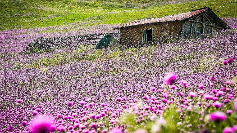 پیش بینی وضعیت جوی کشور فردا 10 فروردین 1401