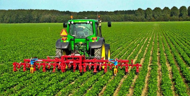 آغاز کشت قراردادی محصولات اساسی در کشور