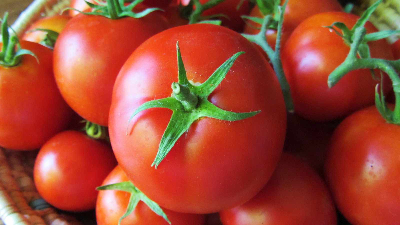 قیمت گوجه فرنگی در میدان میوه و تره ‌بار ۲۵ هزار تومان شد