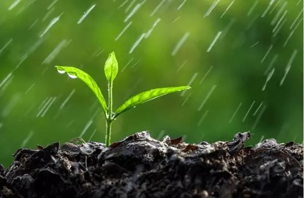 پیش بینی وضع هوا فردا 25 فروردین 1401