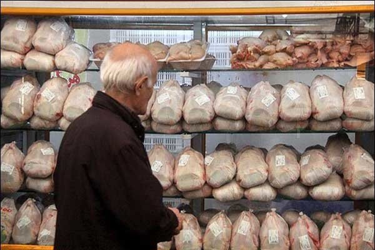 یارانه جدید دولت برای خرید مرغ
