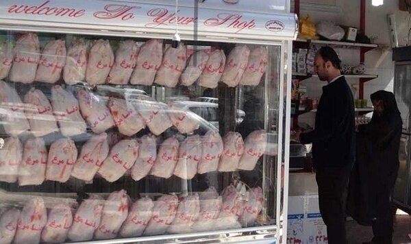قیمت مرغ در تهران کاهش یافت