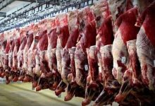 واردات گوشت قرمز گرم از روسیه و پاکستان آغاز شد