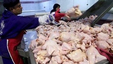 کاهش 9 هزار تومانی قیمت مرغ در بازار