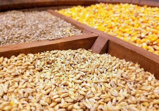 گمرک مدعی تخلف در واردات نهاده با کوتاژ جعلی شد