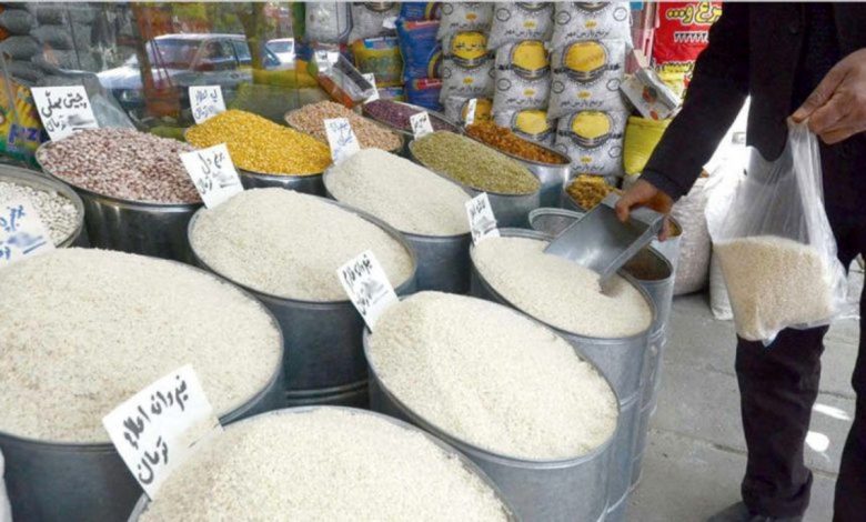 امید به کاهش قیمت برنج ایرانی در فصل برداشت