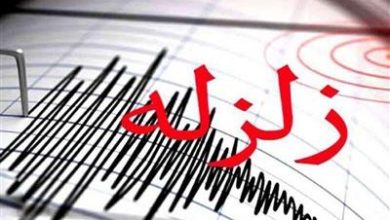 دستور ویژه رییس كل بیمه مركزی برای تسریع ارزیابی خسارت زلزله هرمزگان