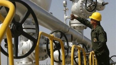 ازسرگیری مذاکرات با کشورهای همسایه برای احیای قراردادهای صادرات گاز