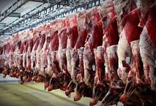 افزایش 5 درصدی عرضه گوشت قرمز به بازار