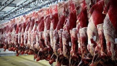 افزایش 5 درصدی عرضه گوشت قرمز به بازار