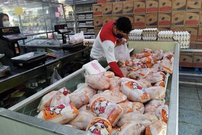 توزیع نامحدود مرغ منجمد ۴۸ هزار تومانی در بازار