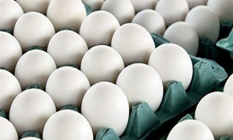 قیمت پیشنهادی برای هر کیلو تخم مرغ 48 هزار تومان اعلام شد