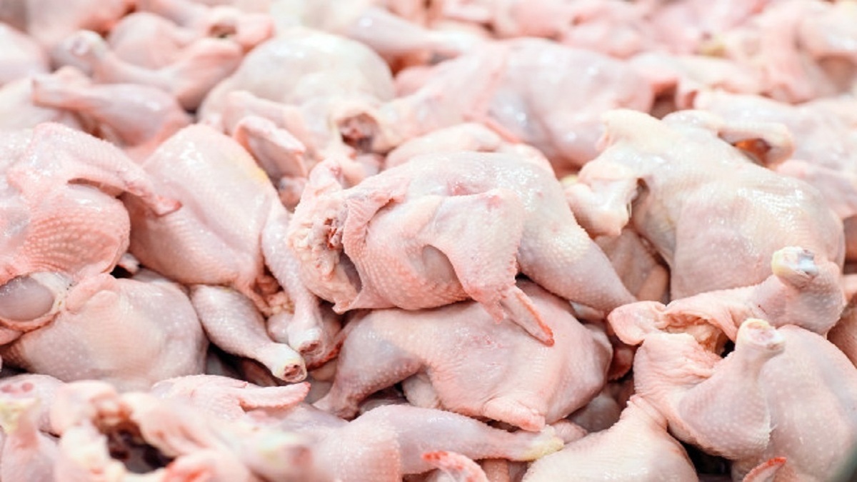 ورود مجلس به افزایش قیمت مرغ