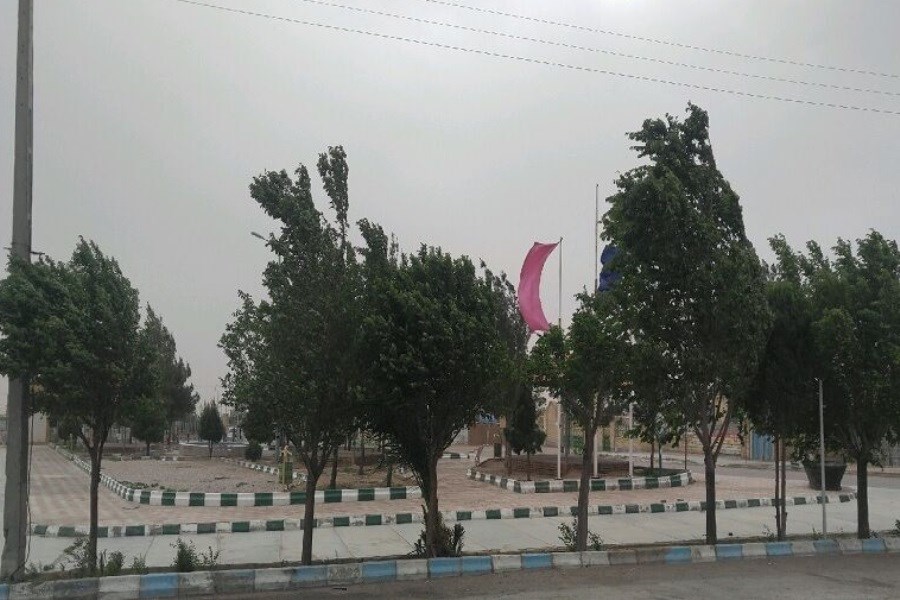 وزش باد شدید و غبار رقیق در نیمه جنوبی تهران