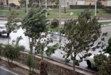وزش باد در تهران