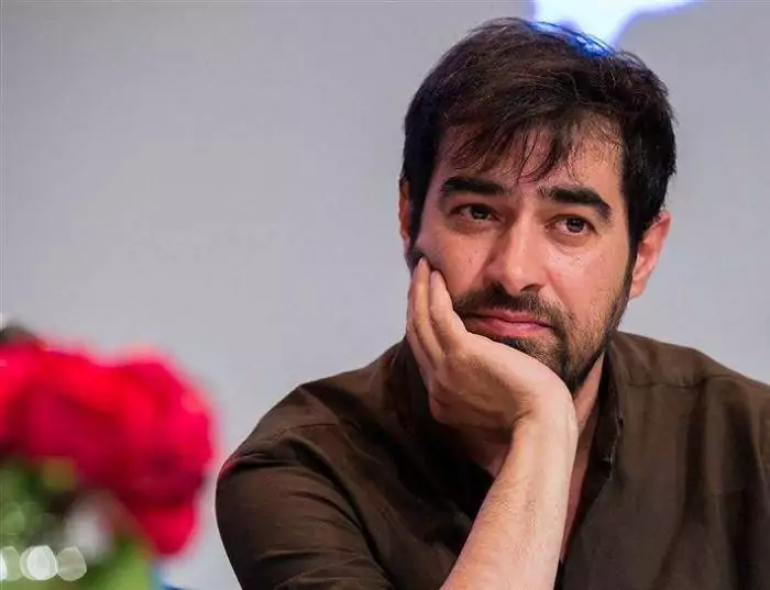 اتفاق غیرمنتظره برای همسر سابق و فعلی شهاب حسینی+ عکس