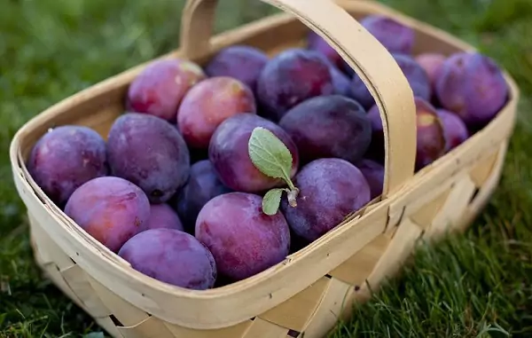 این میوه تابستانی را به جای قرص آهن مصرف کنید