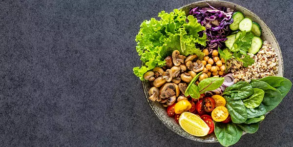مشهورترین گیاهخوار دنیا از گرسنگی تلف شد+ عکس