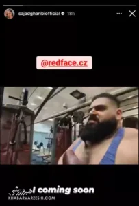 ha 64e5cf8b04566