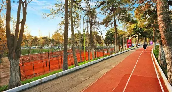 ولنگاری در مجموعه ورزشی انقلاب+ عکس