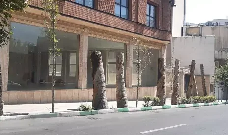 قطع درختان چندین ساله برای یک ساختمان نوساز!+ عکس