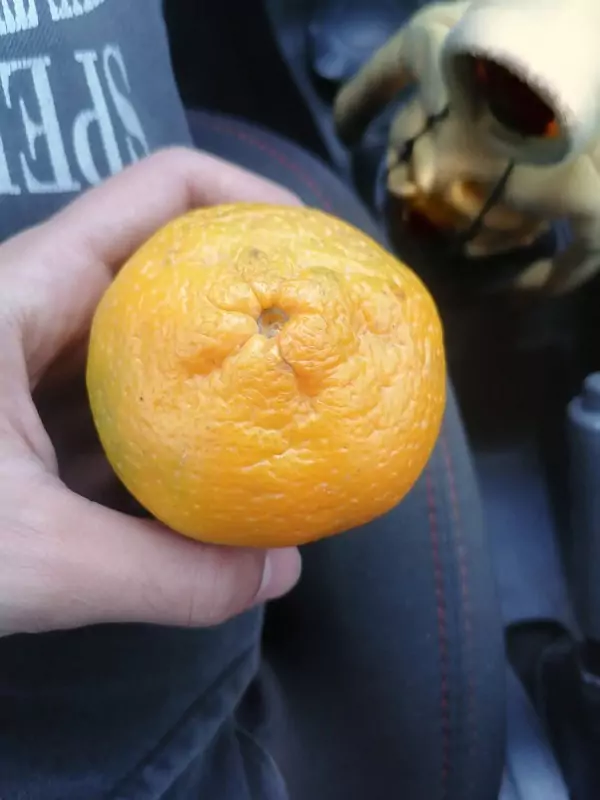 5 6565c62ce918f