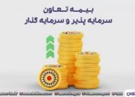 ارزش پرتوی بیمه تعاون ۳۰۰ میلیارد تومان است