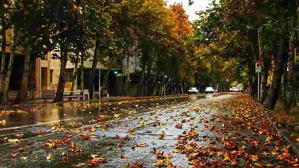 عکسی دردناک از تهران بارانی